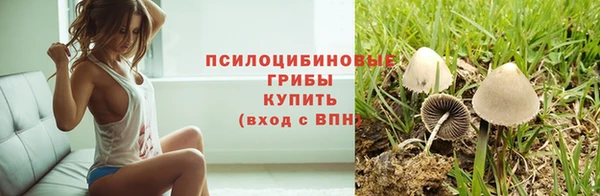 гашик Липки